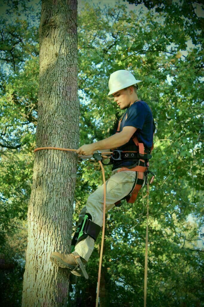 Centerville Lawn Services